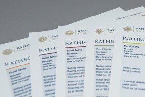 Rathbone Unit Trust Fact sheet 6N